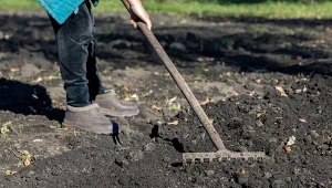 Poznaj najlepsze rodzaje obornika.