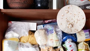 Gryzki to małe owady, które pchają się do naszych domów jesienią. Jak je rozpoznać i zwalczyć? Fot.michiru13/123RF/dmf87/CanvaPro