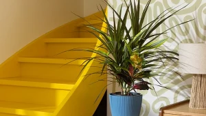 Ożywienie wnętrza to kluczowy element tworzenia przytulnej, harmonijnej przestrzeni