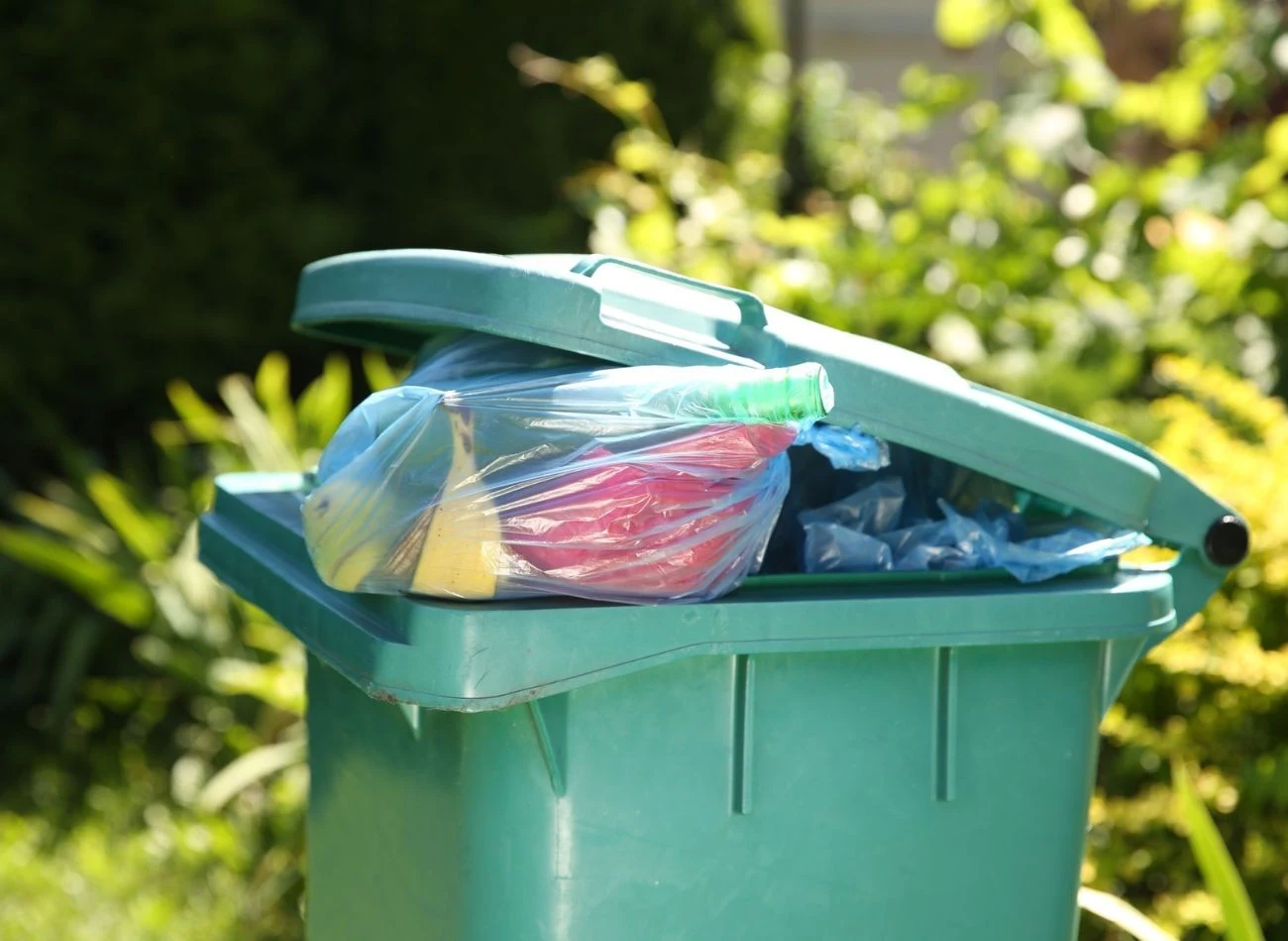 Przepełnione kosze na śmieci z resztkami jedzenia to raj dla szczurów