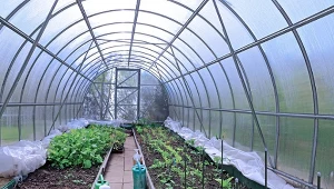 Poznaj patenty ogrodników na ogrzewanie szklarni.