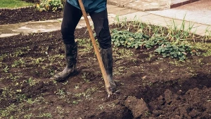Jak przygotować warzywnik na następny sezon?