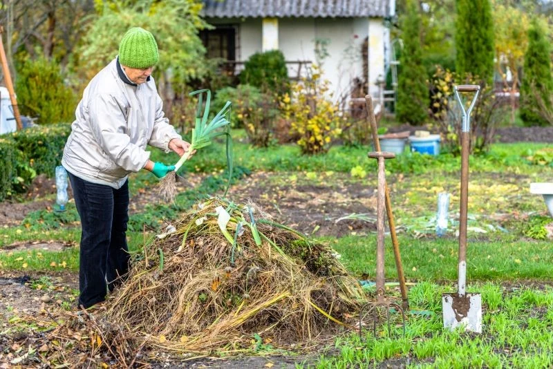 Jesienią znajdźmy czas na oczyszczenie grządek