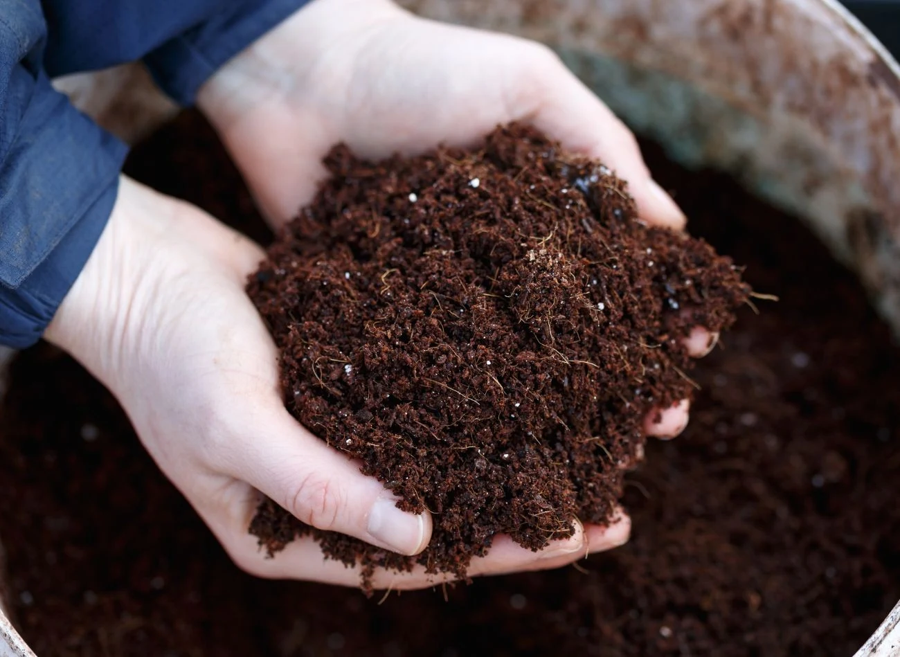Ziemia z donic może trafić do kompostownika