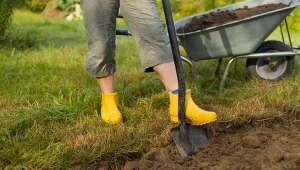 Tradycyjne przekopywanie ziemi jesienią ma wiele zalet.