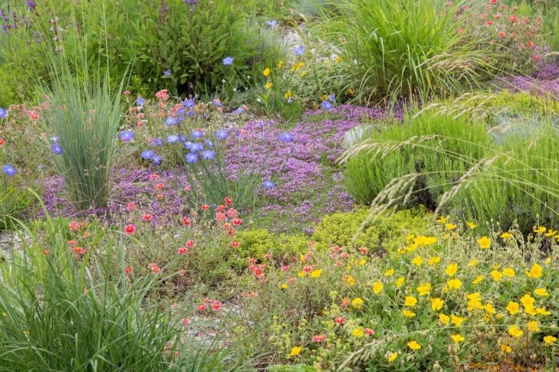 Umiejętny dobór roślin pozwala stworzyć kolorową kompozycję, która o każdej porze roku wygląda inaczej