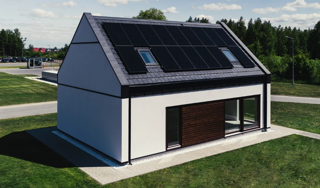 Projekt Morus 109, Domum