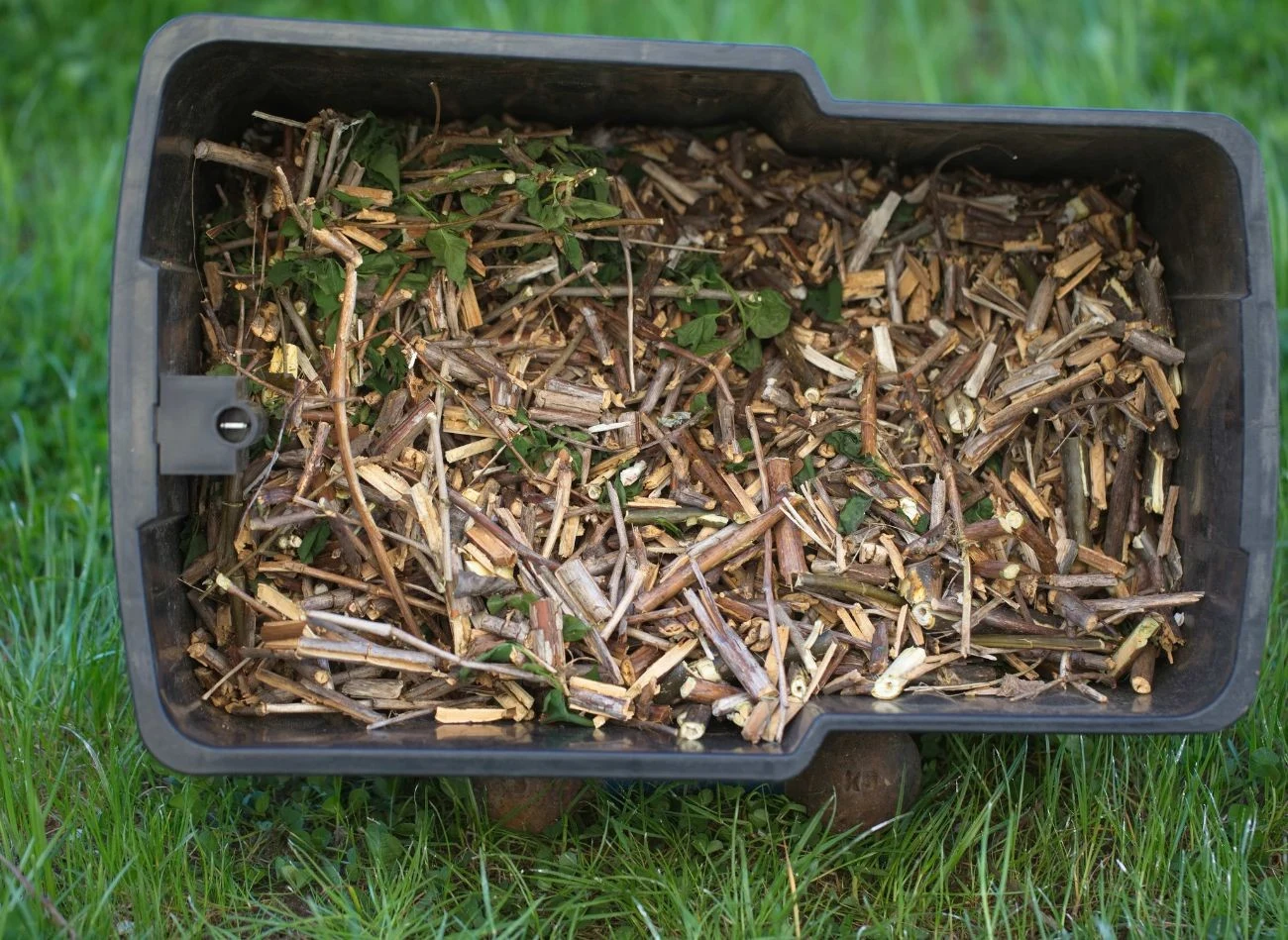 Rozdrabniarka pomoże ci podczas jesiennych porządków pozyskać gotowy materiał na ściółkę dla krzewów owocowych