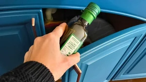 Gdzie wyrzucać butelkę po oliwie lub oleju? To nie takie oczywiste, przeczytaj i sprawdź, jak prawidłowo segregować odpady./deccoria.pl