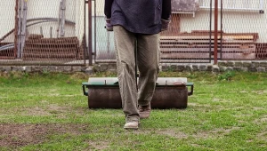 Walcowanie trawnika – na czym polega i jak je wykonać?