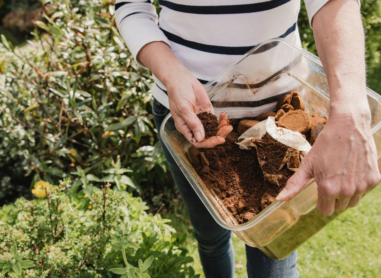 Fusy z kawy można stosować jako ściółkę, ale również wzbogacić nimi kompost