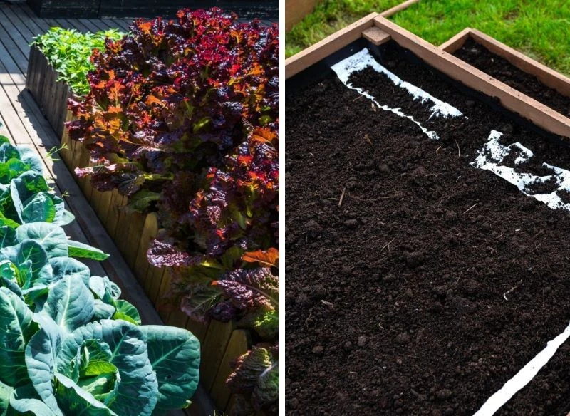 Podniesione grządki można postawić tam, gdzie teoretycznie nie ma miejsca na uprawy, np