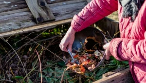 Jak sprawić, żeby proces kompostowania przebiegał szybciej? Wypróbuj sprawdzone sposoby.
