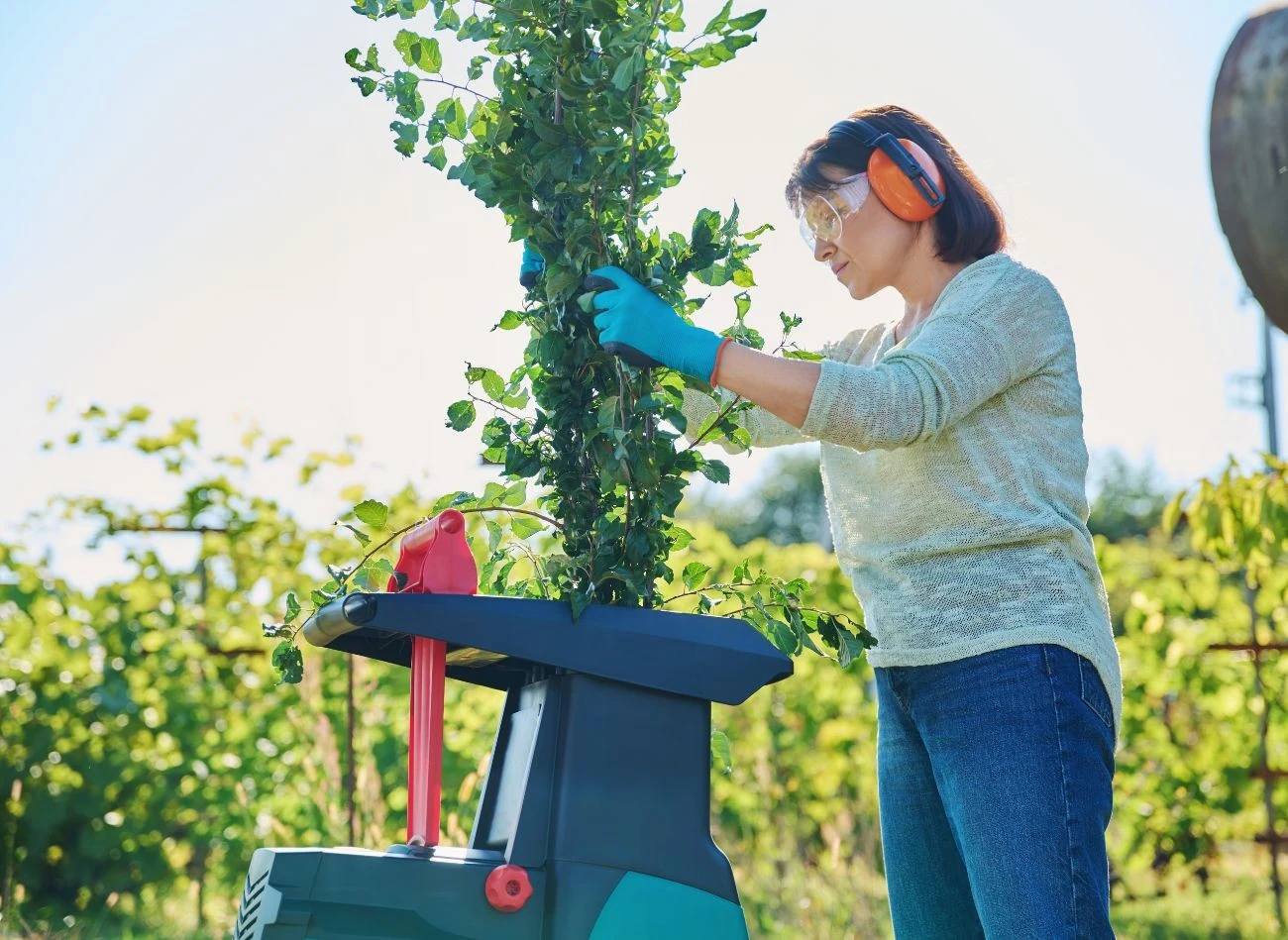 Gałęzie drzew długo się rozkładają, dlatego przed wrzuceniem do kompostownika należy je rozdrobnić
