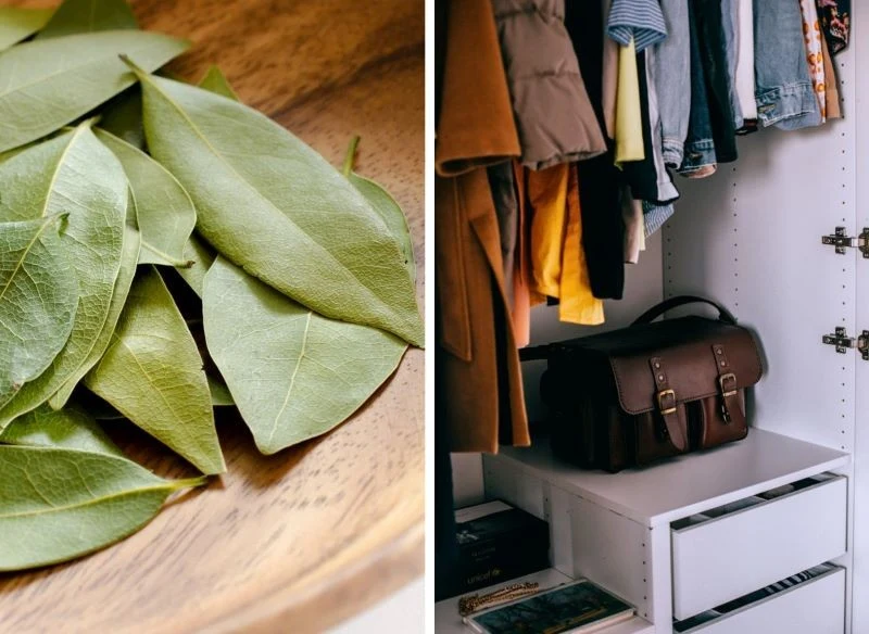 Miseczka z sodą i liśćmi laurowymi wstawiona np