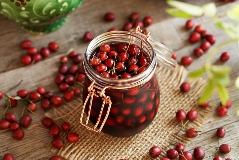 Głóg wykazuje liczne właściwości prozdrowotne, dlatego warto przygotować z niego rozmaite przetwory