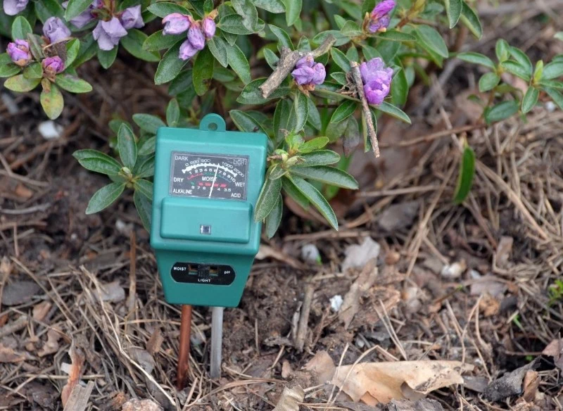 Gleba może mieć odczyn kwaśny, obojętny czy zasadowy