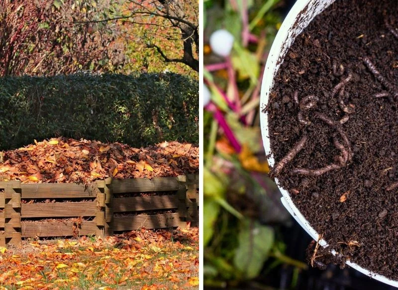 Zebrane liście wrzuć do kompostownika