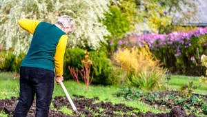 Najlepsze organiczne nawożenie gleby jesienią to stosowanie ogrodnika.