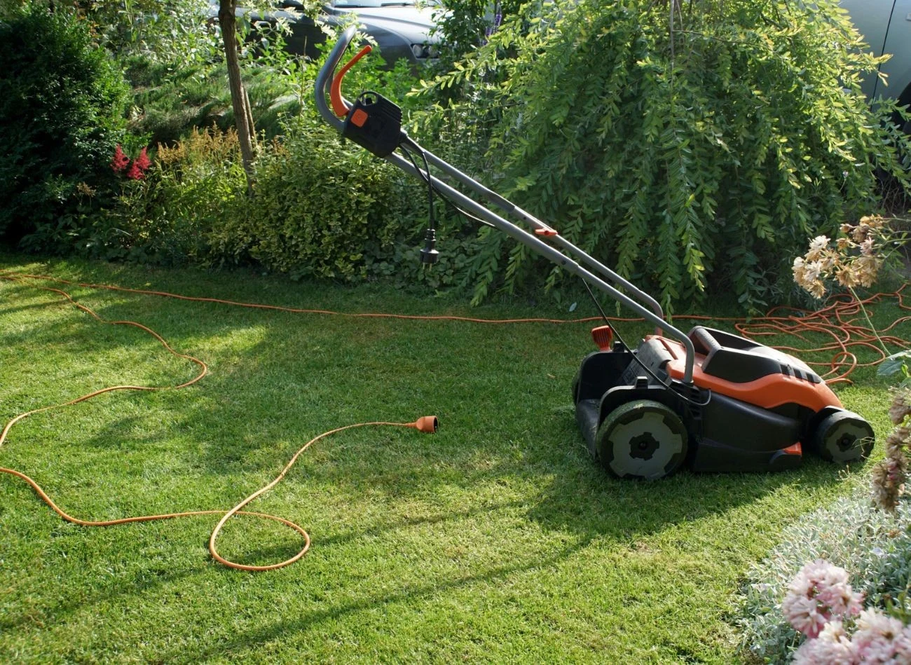 Na jaką długość skosić trawę przed zimą