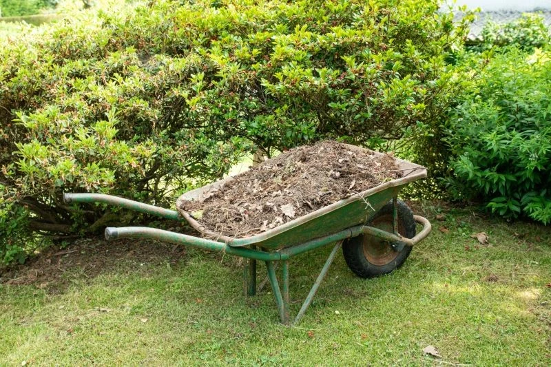 Zbieranie resztek ma znaczenie nie tylko estetyczne