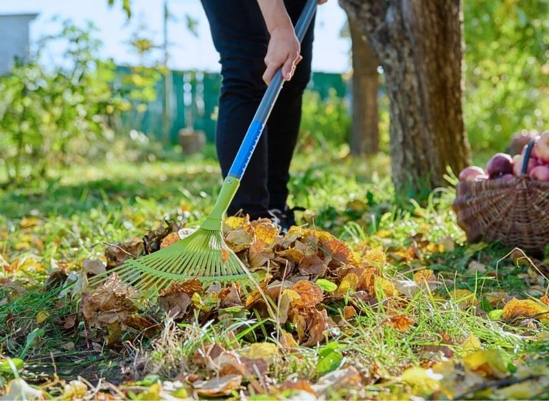 To, co zdołasz wygrabić, wrzuć na kompost, a to, czego nie da się zebrać, spryskaj tym preparatem - resztki szybciej się rozłożą