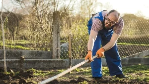 Zmęczona letnimi uprawa ziemia w ogrodzie potrzebuje regeneracji. Jak zadbać o glebę jesienią?