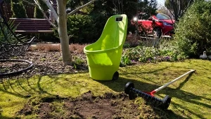 Zanim przeprowadzimy aerację, trzeba odpowiednio skosić trawę i zrobić wertykulację.