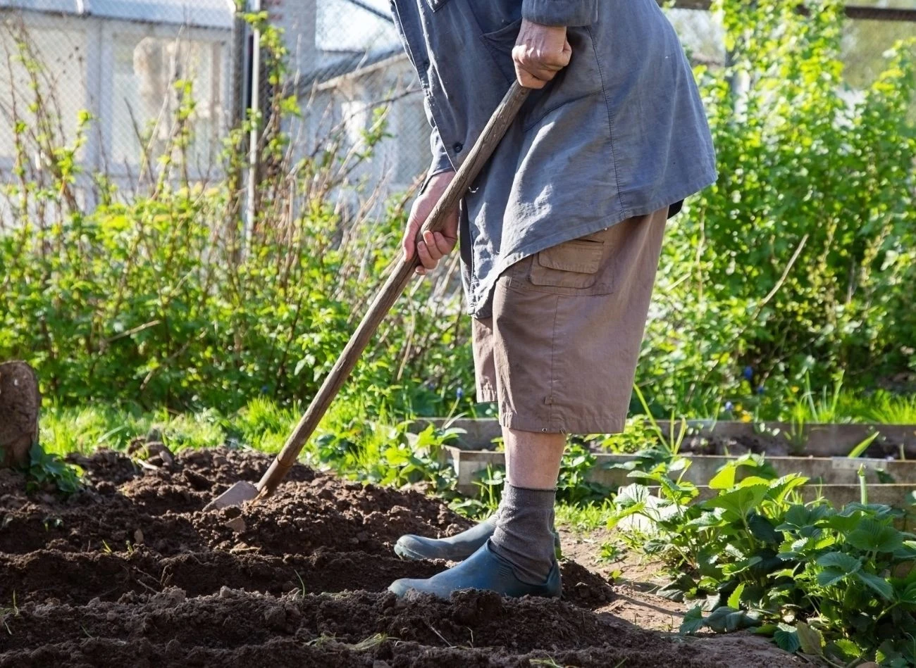 Przekopywanie gleby jesienią ma ogrom zalet, m
