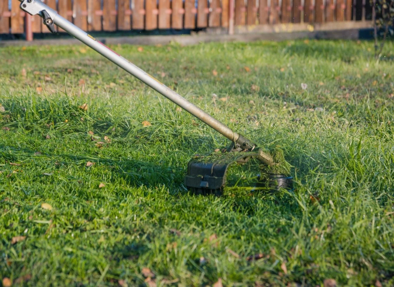 Przed aeracją należy skosić trawę na wysokość ok