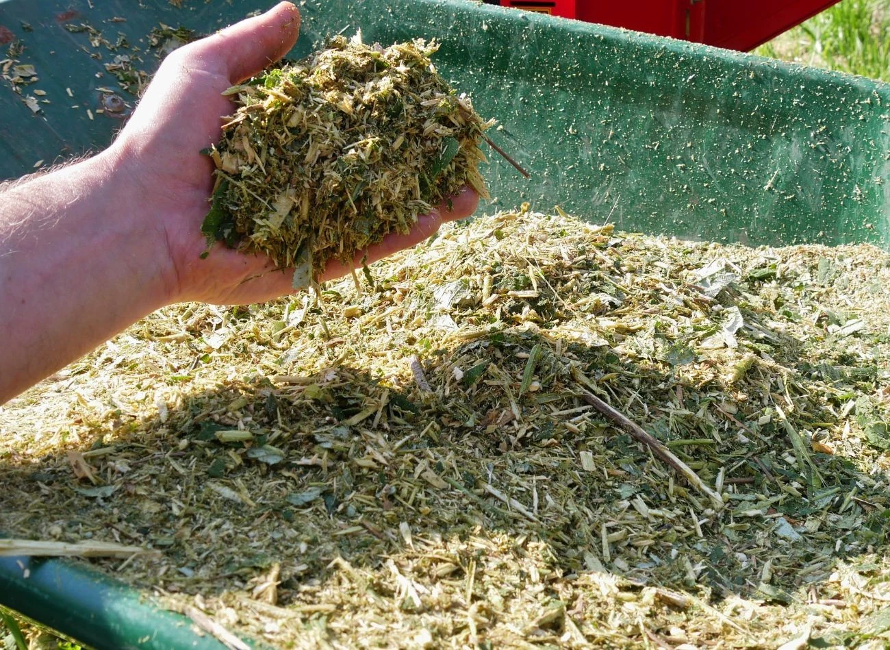 Skoszona trawa i zrębki uchronią glebę przed przemarznięciem i kiełkowaniem chwastów