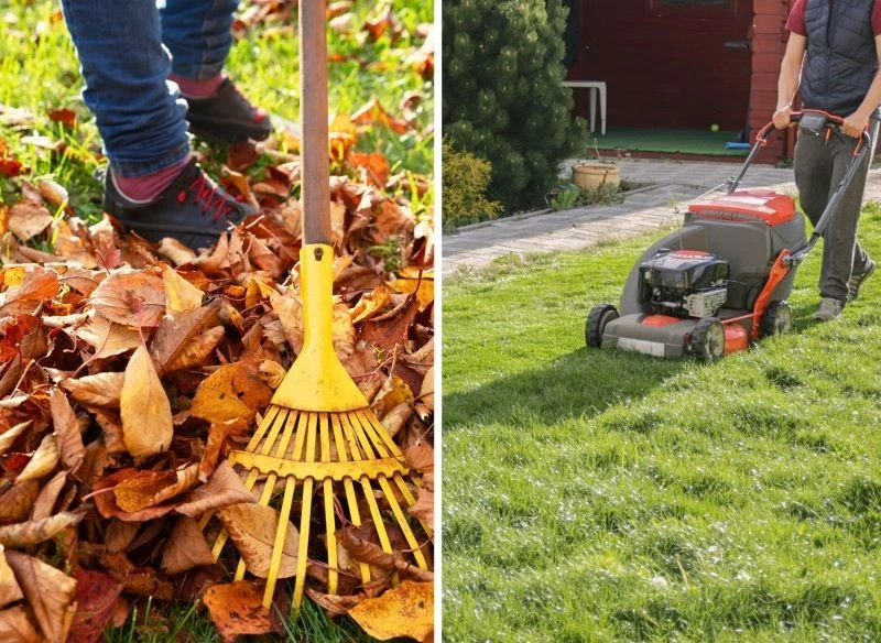 Grabienie i koszenie jesienią powtarza się nawet kilka razy