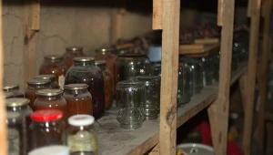 Sprawdź, co wywołuje zapach stęchlizny w piwnicy.