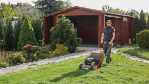 Po ostatnim koszeniu trwawnika warto jest go wzmocnić. Jakie nawozy stosowac na jesień?