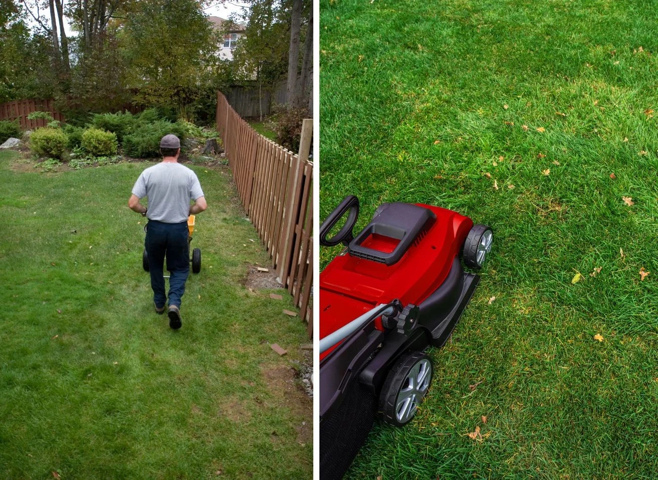 Na jesień dobrze jest stosować nawozy mineralne oraz wapnowanie trawnika