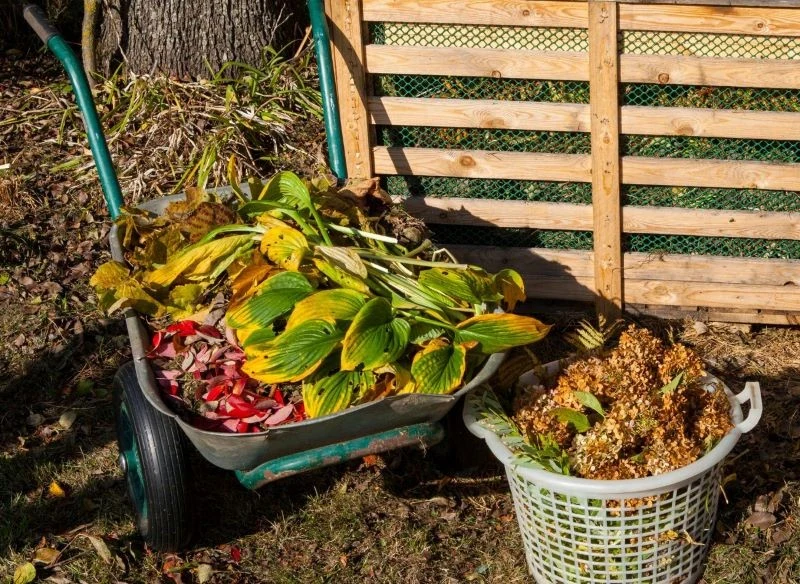 Na kompost warto zbierać odpady zielone z ogrodu, jeśli jest ich mało, podpytaj sąsiada, może zdoła coś ci dorzucić, jeśli sam nie produkuje kompostu