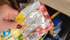 Prawidłowa segregacja odpadów to pozornie prosta czynność, jednak wiele drobnych śmieci potrafi stwarzać problemy. Sprawdź, jak dzielić odpady prawidłowo./Deccoria.pl