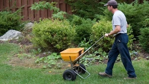 Aeracja i piaskowanie trawnika to jeden z najważniejszych zabiegów, które należy przeprowadzić jesienią w ogrodzie.