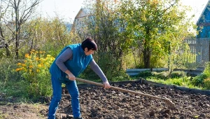 Jesienne nawożenie warzywniaka jest niezwykle ważnym zabiegiem pielęgnacyjnym.
