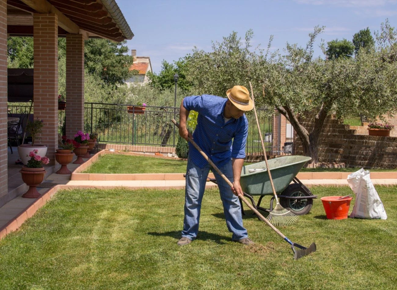 Trawnik po lecie potrzebuje regeneracji i wzmocnienia