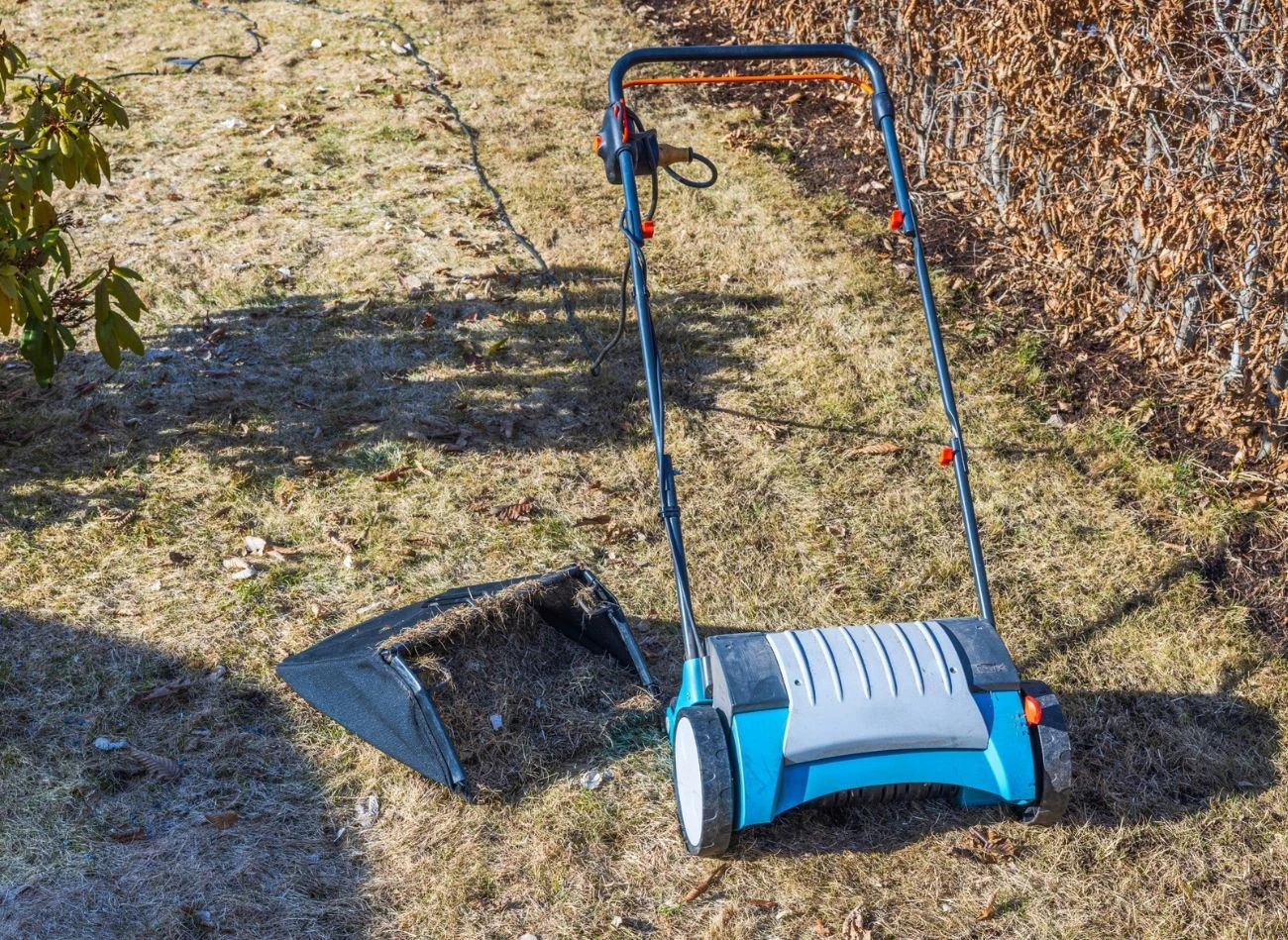 Tuż przed aeracją należy skosić trawę na wysokość ok