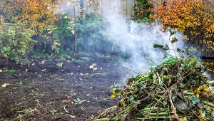 Czy wolno spalać suche liście i gałęzie na własnej posesji?
