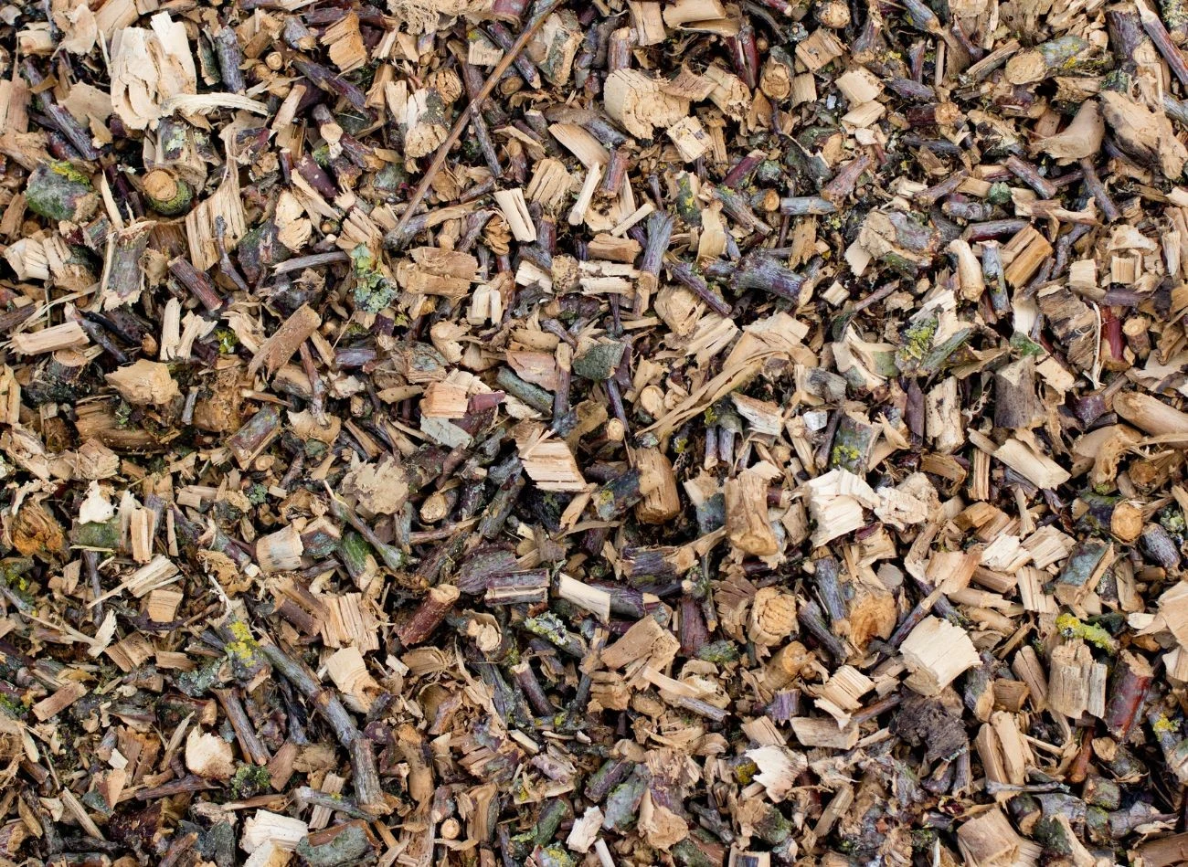 Zebranie jesienią liście można rozdrobnić i użyć jako ściółki