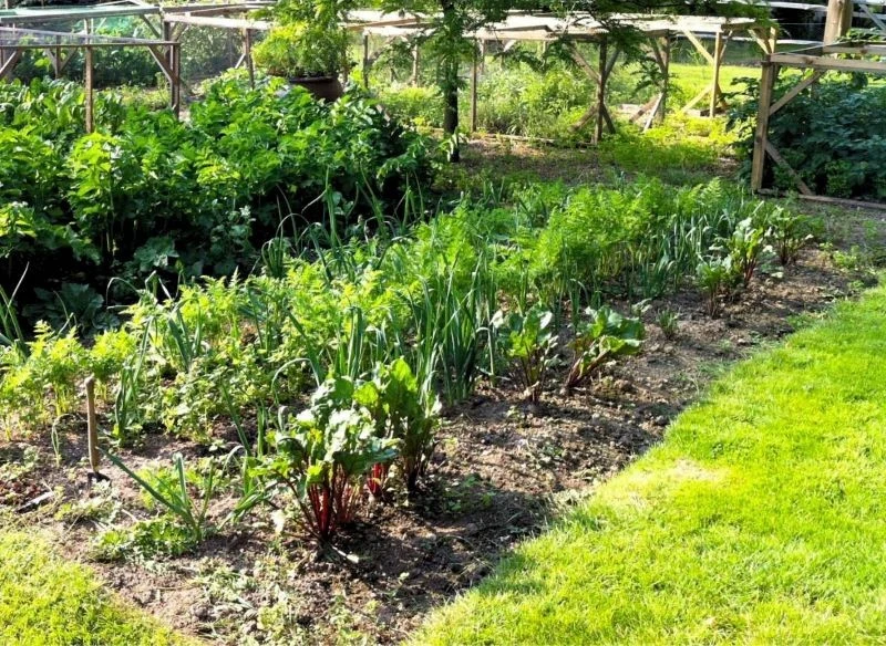 Po intensywnym sezonie upraw gleba wymaga oczyszczenia, spulchnienia, odpoczynku i nawiezienia, aby znów stała się urodzajna, a plony z następnych ...