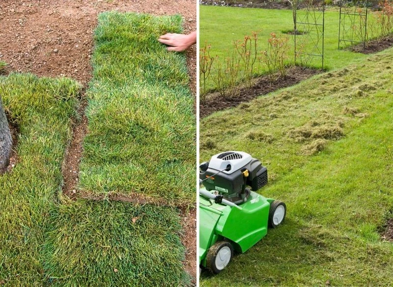 Założyłeś nowy trawnik, a może podjąłeś się regeneracji murawy po gorącym lecie