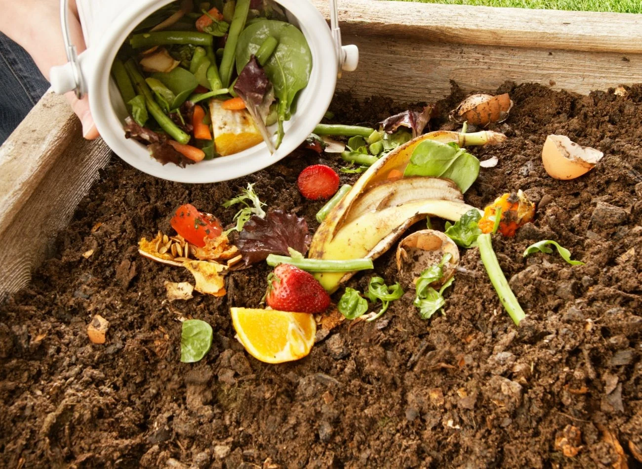 Kontrole polegają m