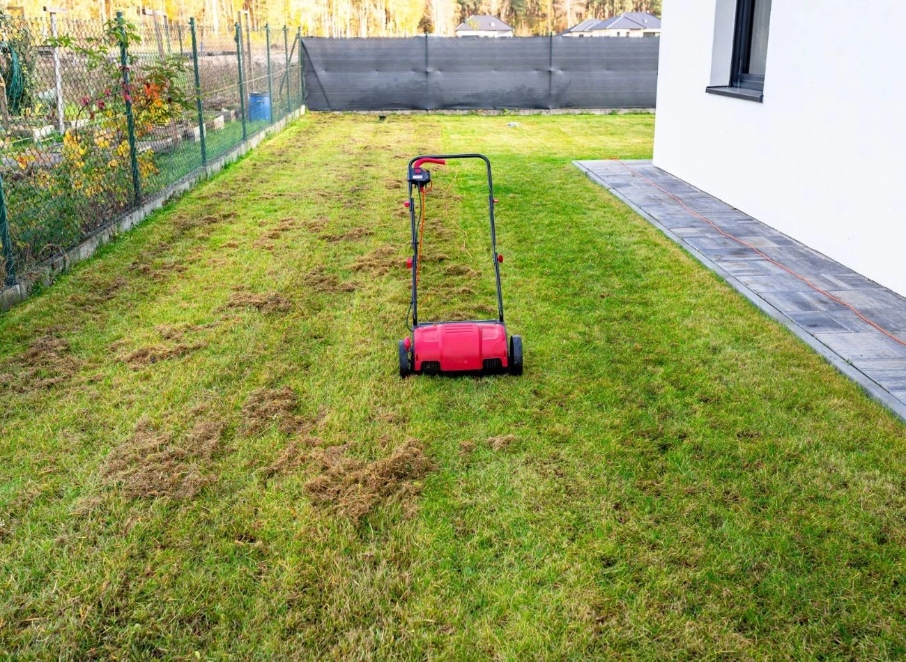 Jednym z najczęstszych błędów podczas wertykulacji jest ustawienie zbyt dużej głębokości nacięć