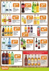 Смачні осінні відкриття - Gama