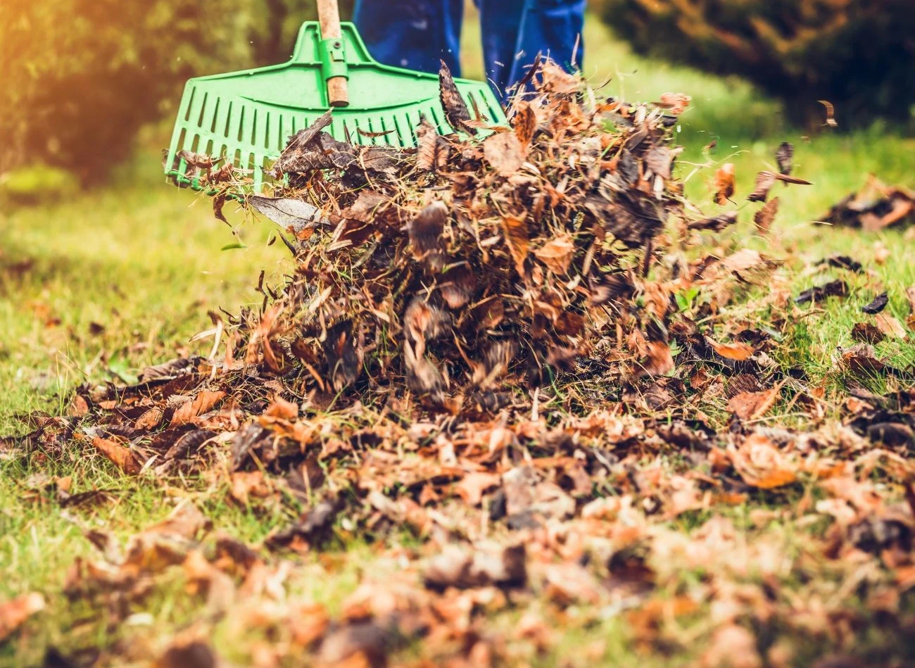 Zgodnie z ustawą o odpadach, nie wolno nam spalać liści w ogrodzie