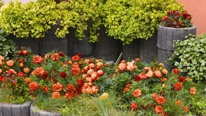 Nie wiesz, jak ułożyć gazony w ogrodzie? Te betonowe elementy mogą stworzyć kolorową kompozycję lub solidny, obsadzony zielenią mur. Wszystko zależy od twoich potrzeb.